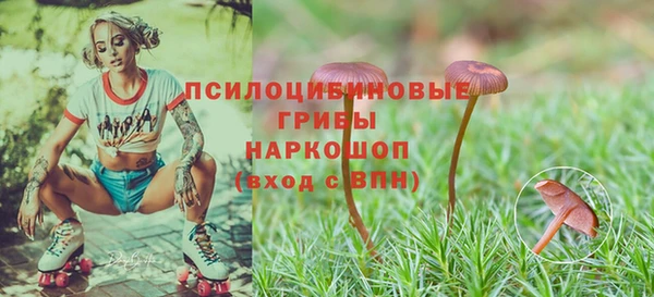 прущая мука Ветлуга