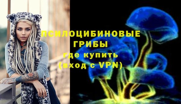 ГАЛЛЮЦИНОГЕННЫЕ ГРИБЫ Дмитровск