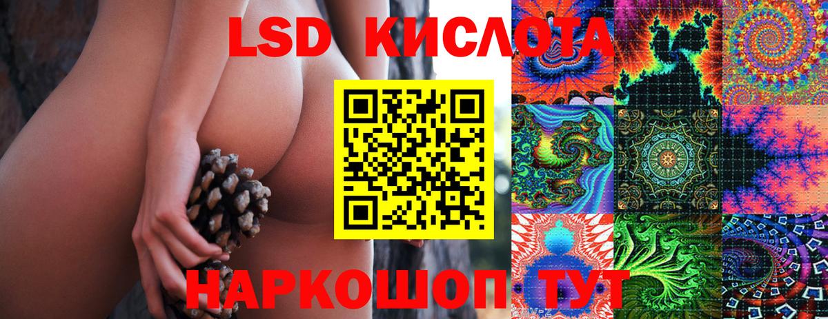 продажа наркотиков  Вход с VPN  Елизово  Марки NBOMe 1,8мг  Марки N-bome 