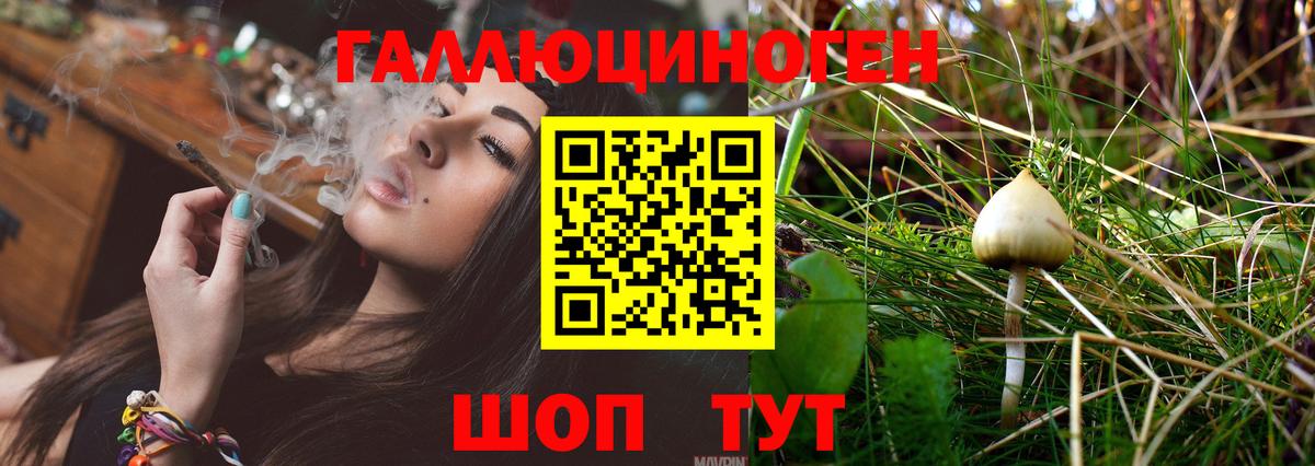 Галлюциногенные грибы ЛСД Елизово