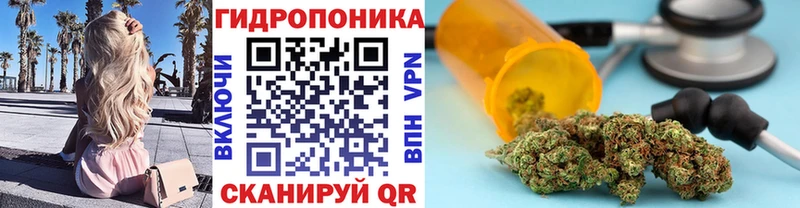 OMG рабочий сайт  Елизово  Бошки Шишки VHQ 